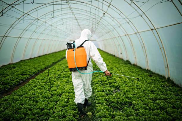 Best Pest Control Treatment  in Sale Creek, TN